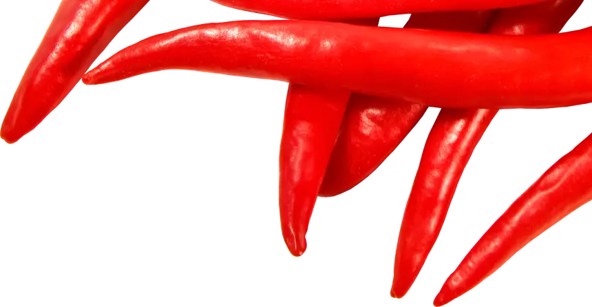 Das Bild einer Paprika
