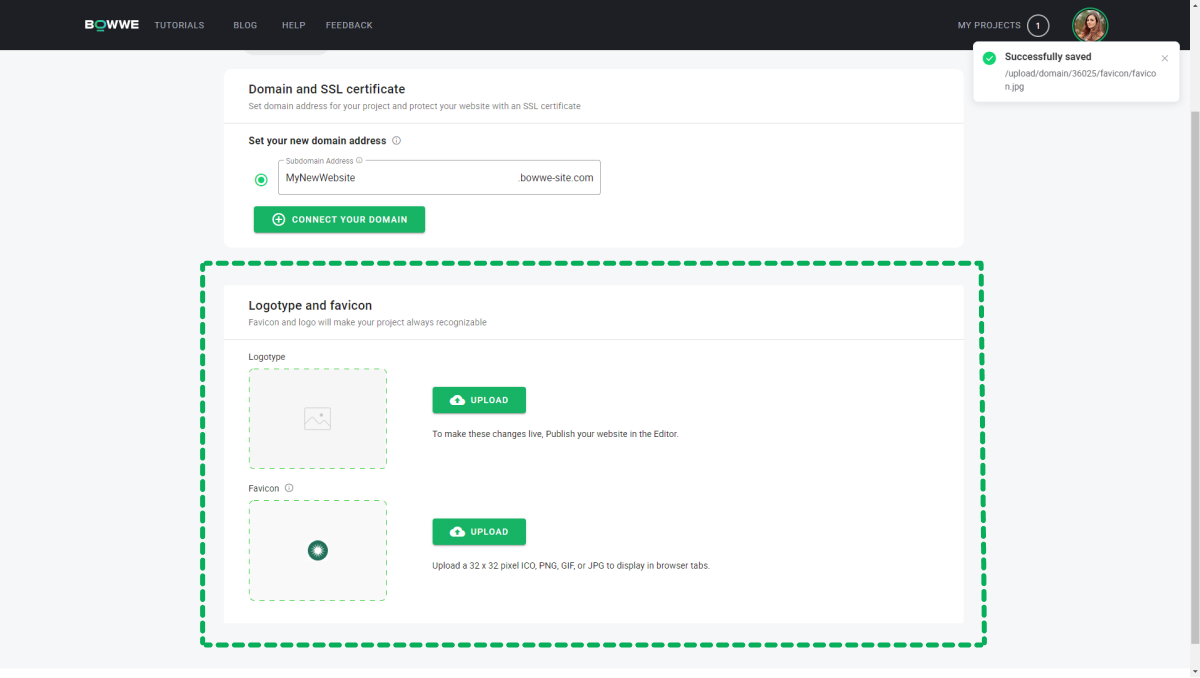 How to add a logo to a website in BOWWE?