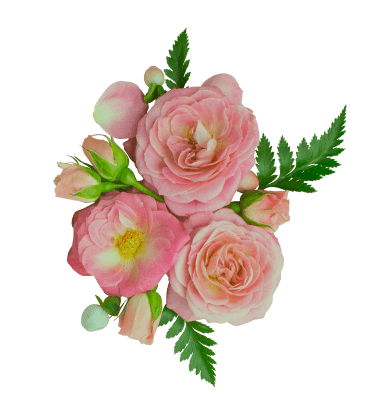 a bouquet of pink roses with additional leafes for decoration