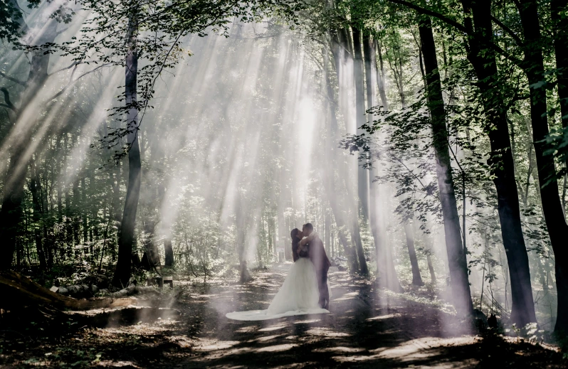 Ein Paar in ihrer Hochzeitskleidung, das sich im Wald küsst, während Licht durch die Bäume dringt