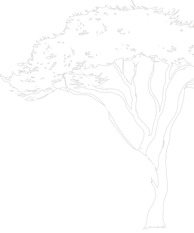 شجرة وحيدة في مكان ما في السافانا.
