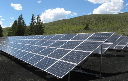 solar panels in a field near trees