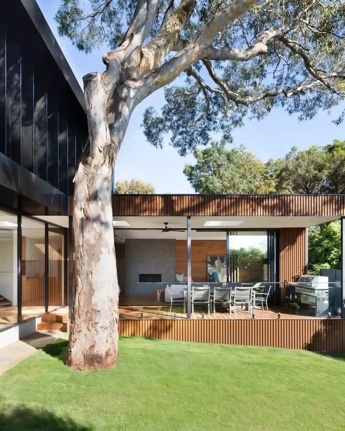 uma casa com janelas panorâmicas e uma árvore crescendo nas proximidades