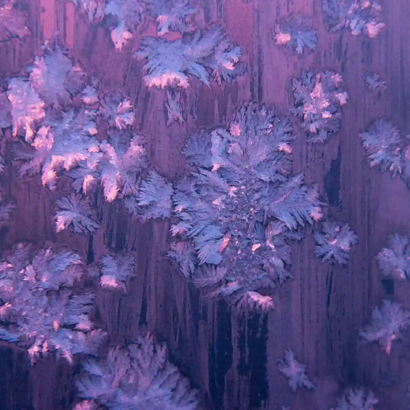 абстрактное изображение фиолетового цвета