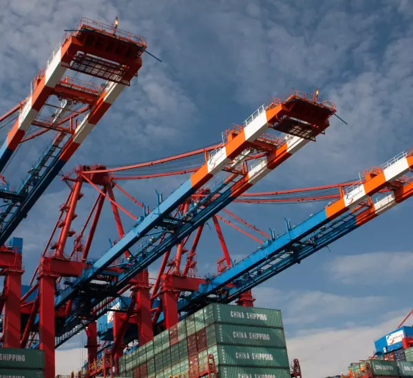 large cranes lift cargo