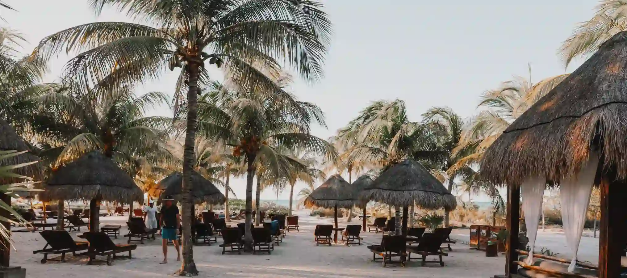 Strand mit Palmen und Stühlen