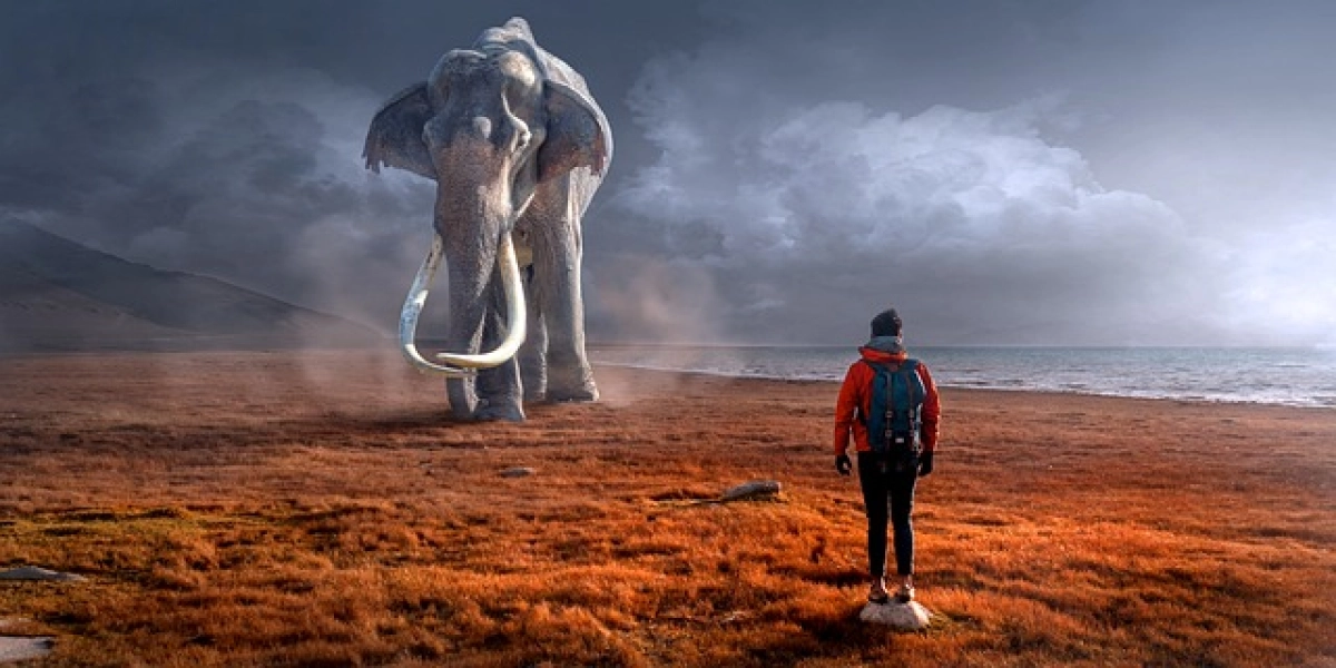 Мужчина стоит спиной к получателю и лицом к слону у моря.