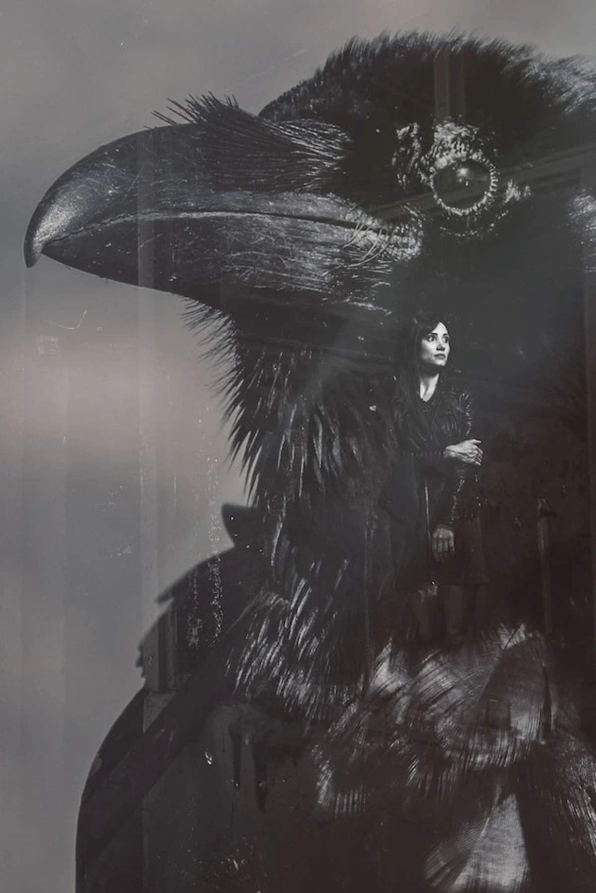 Grafica in bianco e nero di un uccello su cui è sovrapposta una foto di una donna