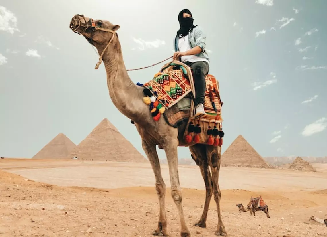 Garota em um camelo