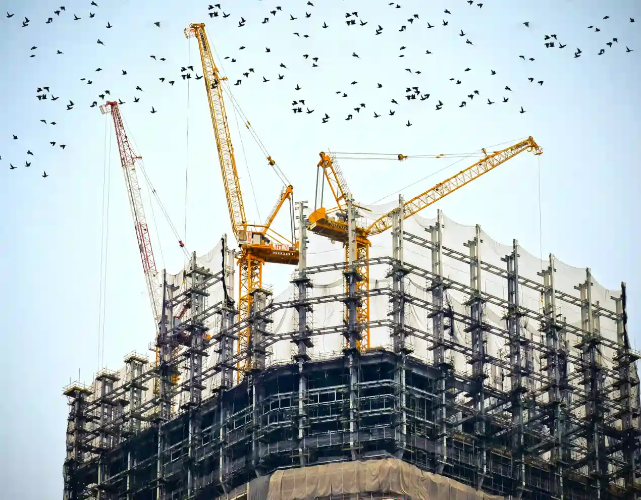 a construction site with yellow cranes