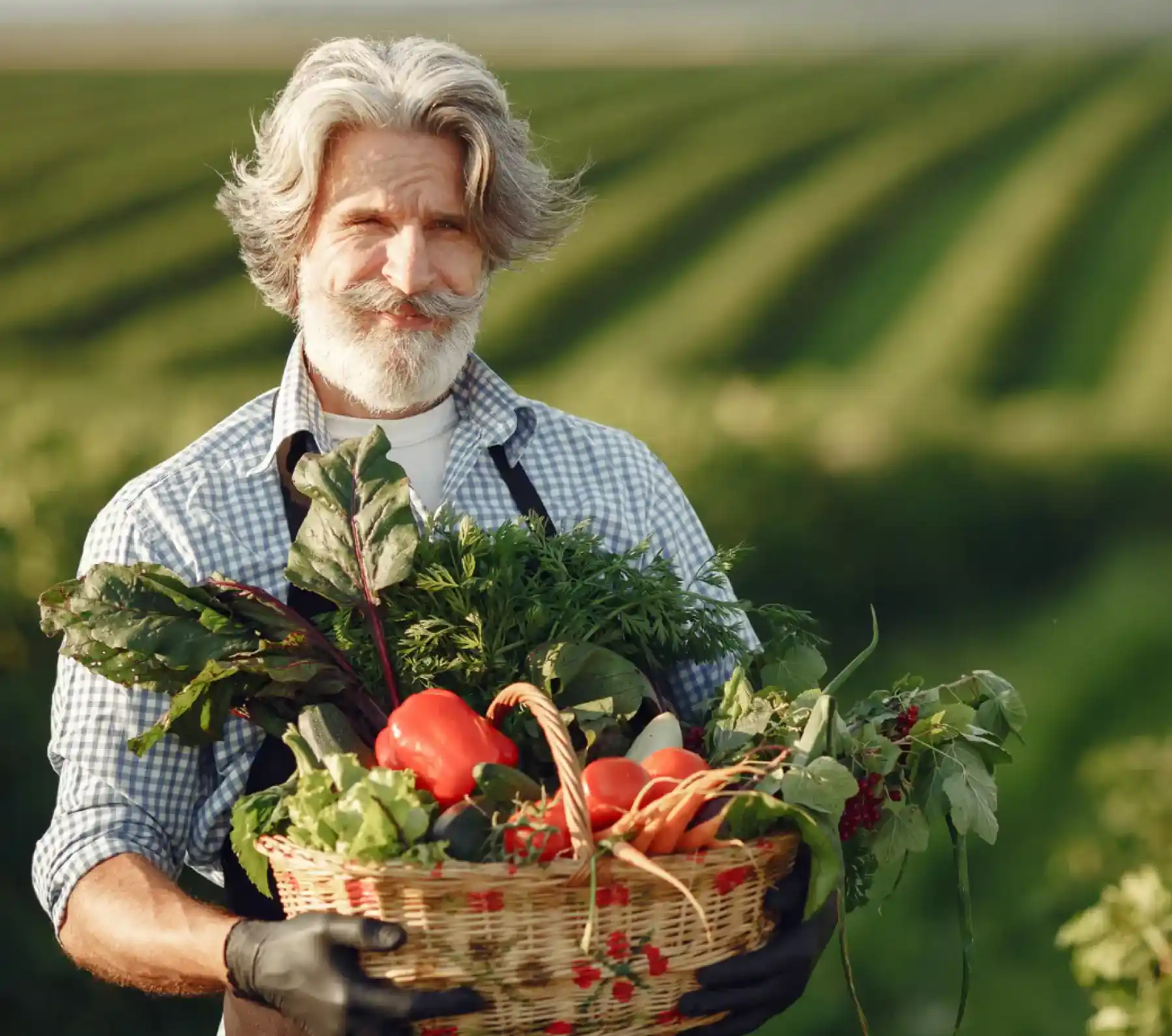 Man with a basket of vegetables