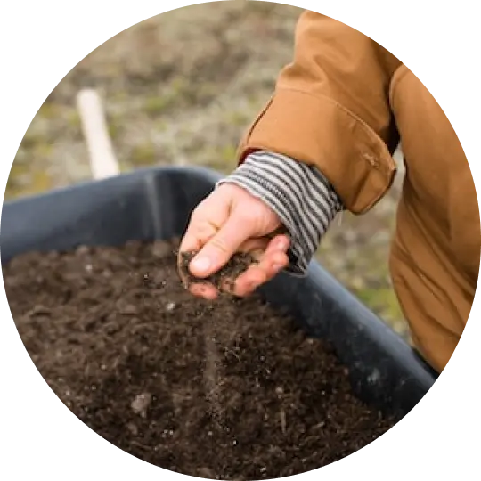 Handful of earth in hand