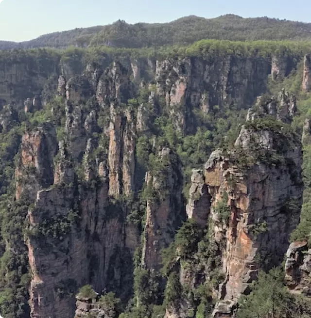 Forest mountains