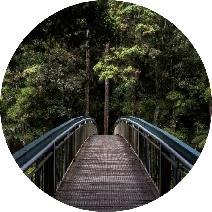 metal bridge leading to the forest