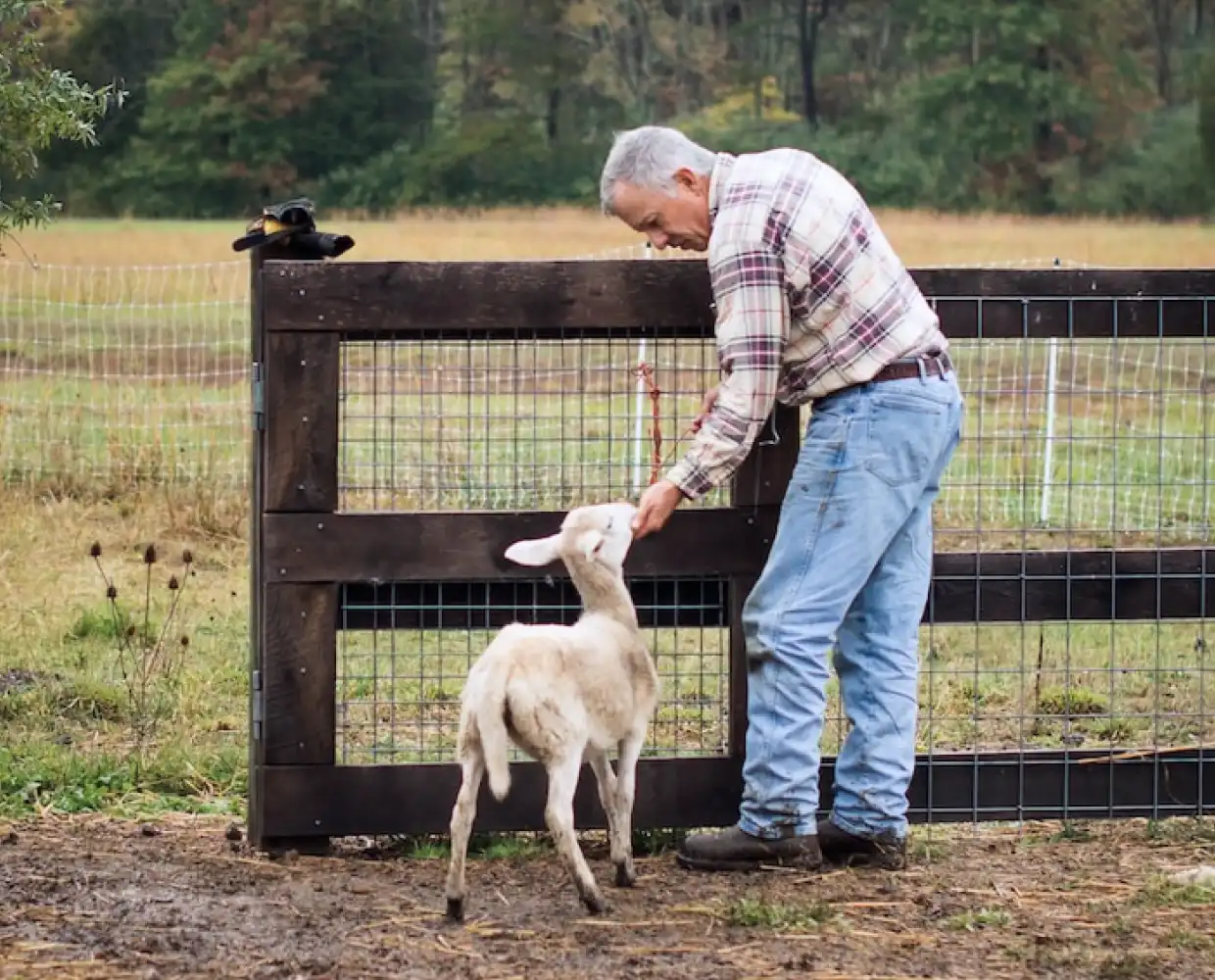 a man stroking an animal