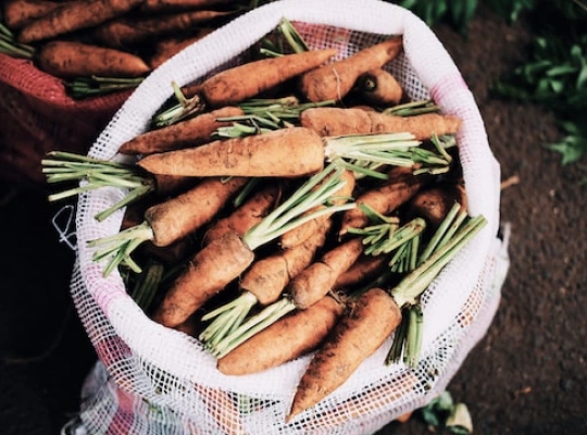 bags of carrots