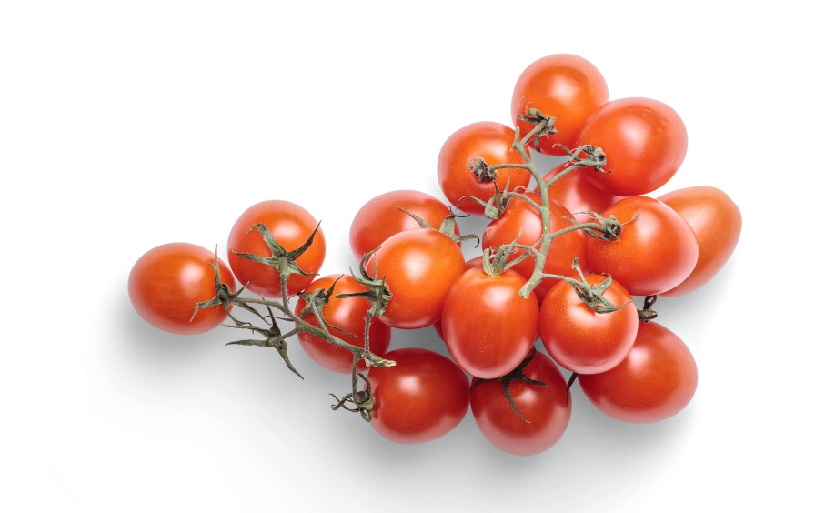 two sprigs of tomatoes