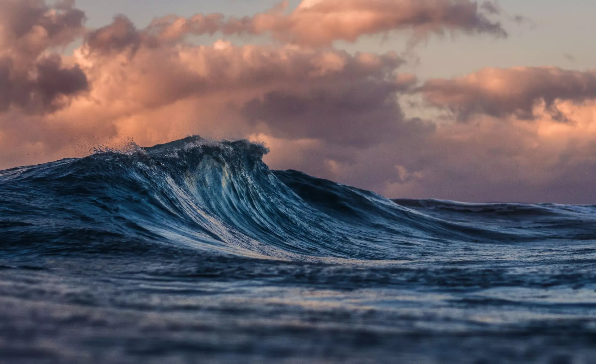 Die Welle des Ozeans