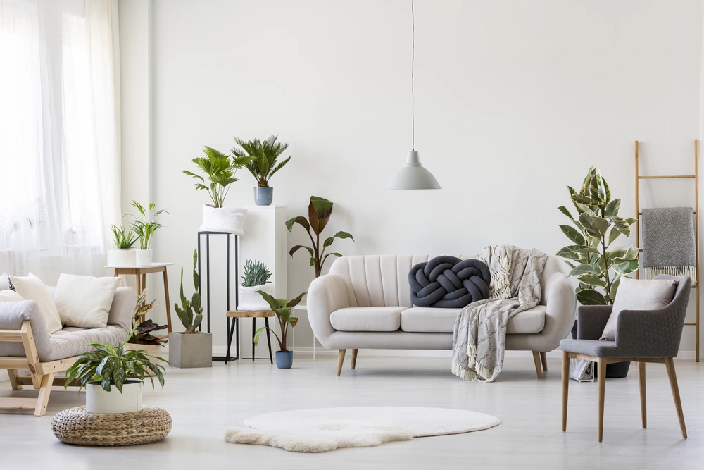 white room with light furniture and flowers