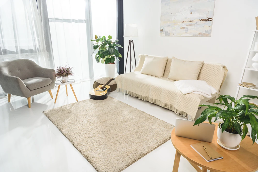  room in white tones with light furniture and fluffy carpet