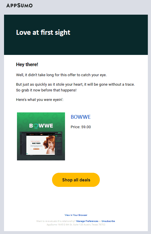 BOWWE newsletter at the end of the Appsumo campaign