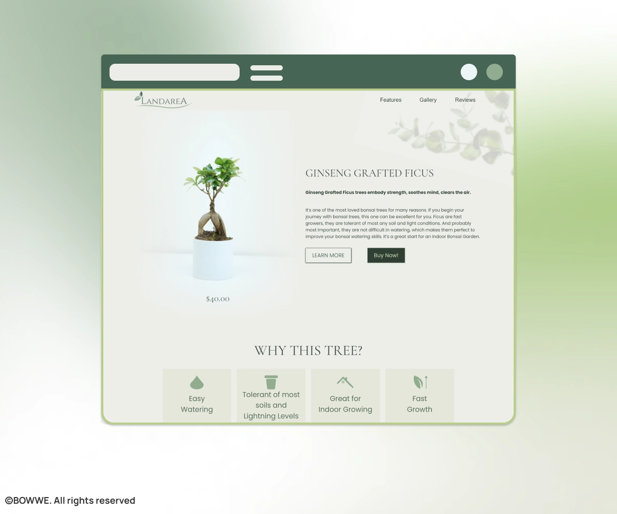 Screenshot from BOWWE template showing website with body background 