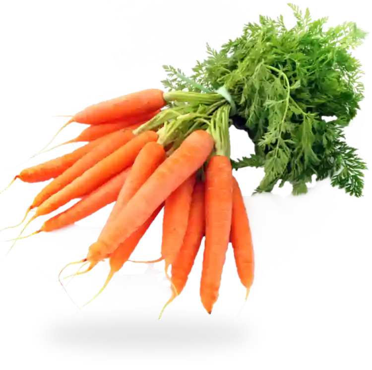 un manojo de zanahorias
